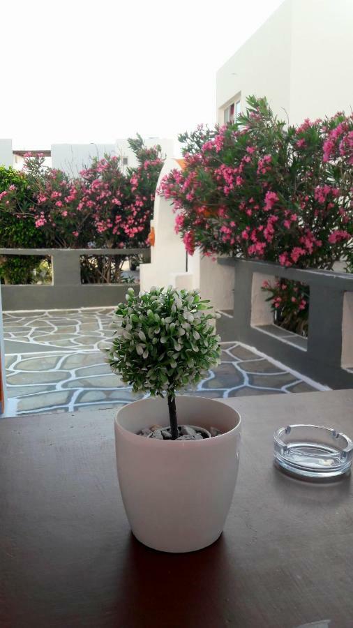 George'S Place Chora d'Ios Extérieur photo